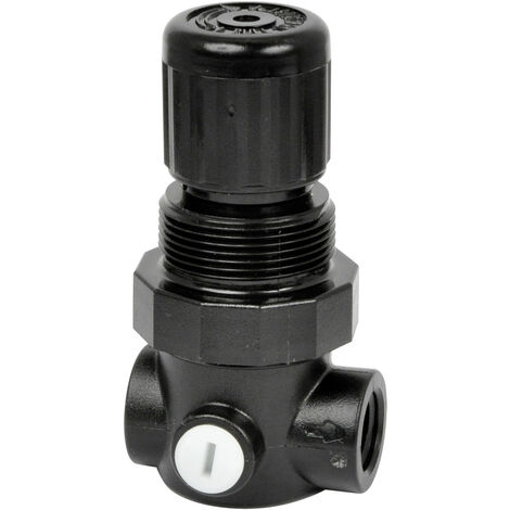 IMI NORGREN R91W-2GK-NEN Flüssigkeitsregler 1/4"