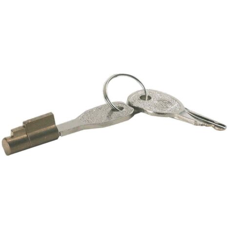 Imline – Antivol universel à clé pour tête d'attelage – Système de verrouillage à clé – Compatible remorques et caravanes – Installation rapide