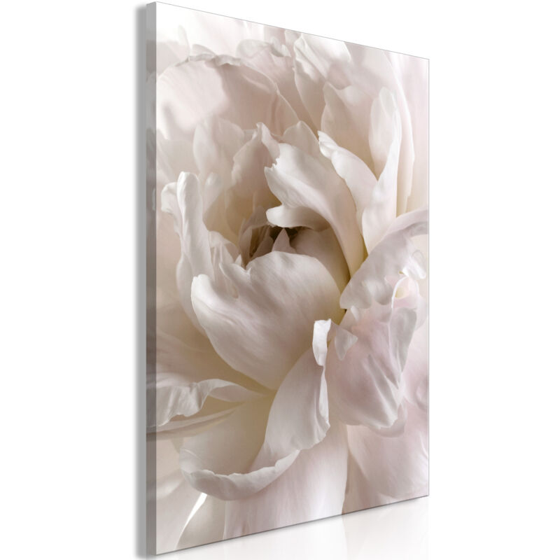 Immagine - Soffice distrazione (1 parte) Verticale...