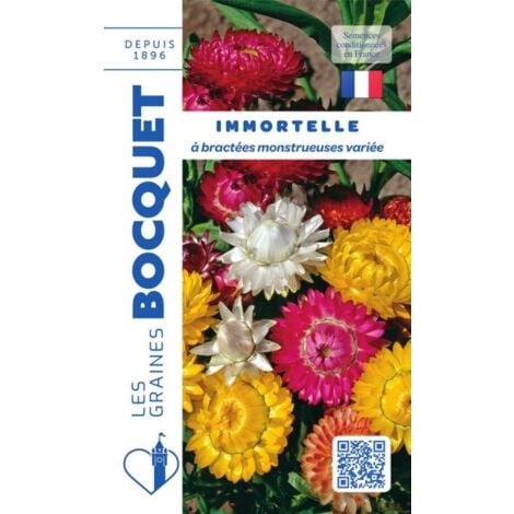 Immortelle à bractées monstrueuses variée - 0,8g