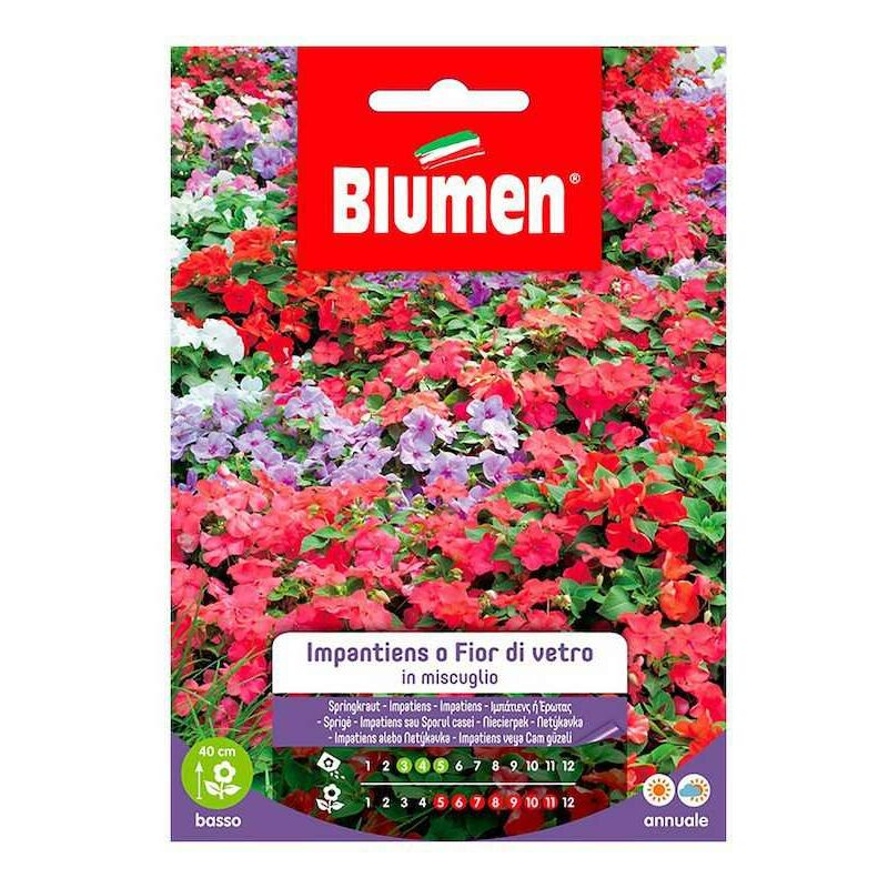Blumen - Impatiens Graines Ou Fleur De Verre En Mélange