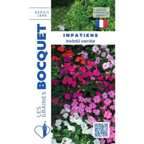 Impatiens Hoolstii variée - 0,2g