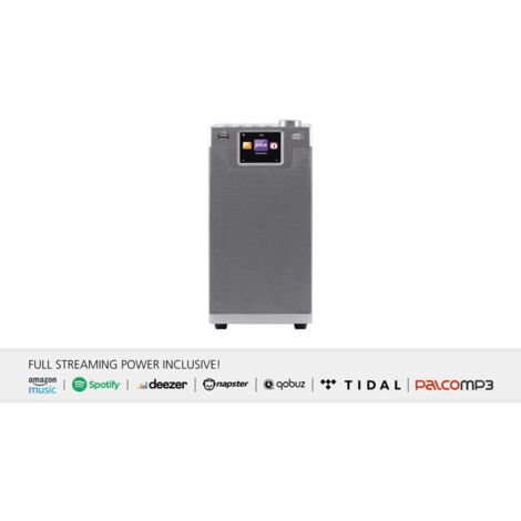 Imperial DABMAN i610 silber Radio de table DAB+, DAB, Internet, FM Bluetooth, WiFi compatible DLNA a