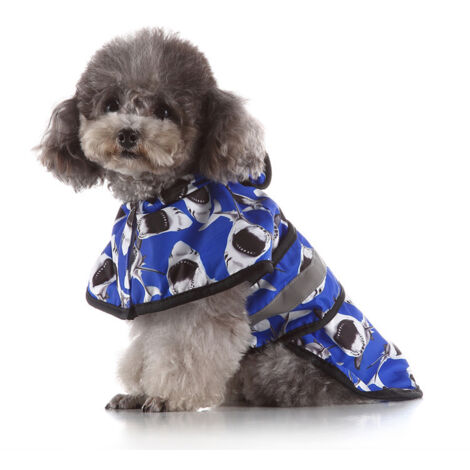 Imperméable à capuche pour chien, vêtements imperméables pour animaux de compagnie avec bande réfléchissante