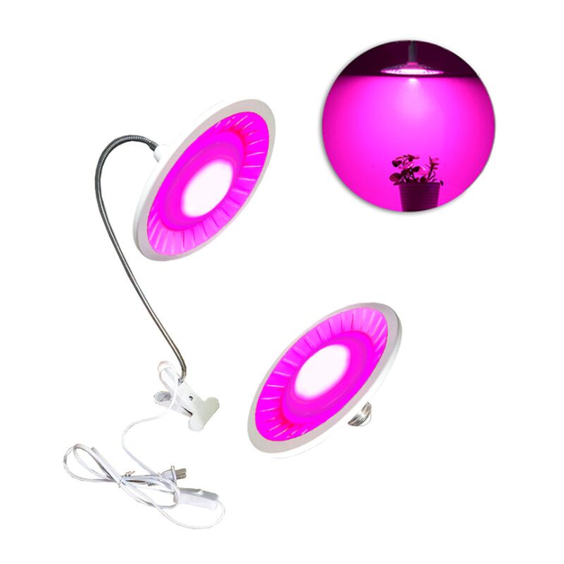 Impianto illuminazione 100W clip pianta pianta