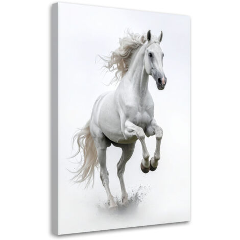 Impresión de Imagen, Caballo blanco galopando, 70x100