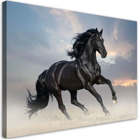 Impresión de Imagen, Caballo negro corriendo animales, 30x20