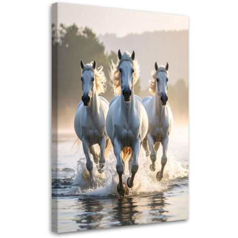 Impresión de Imagen, Caballos blancos galopando en el agua, 30x45