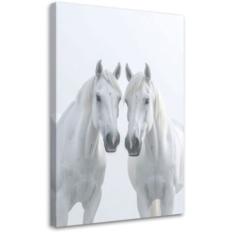 Impresión de Imagen, Dos caballos blancos animales naturaleza, 20x30