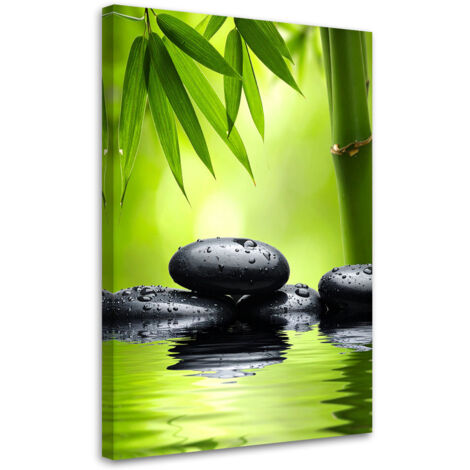 Impresión de Imagen, Piedras negras plantas spa zen, 20x30