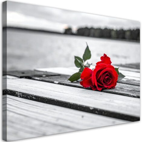 Impresión de Imagen, Rosa roja en un muelle, 45x30