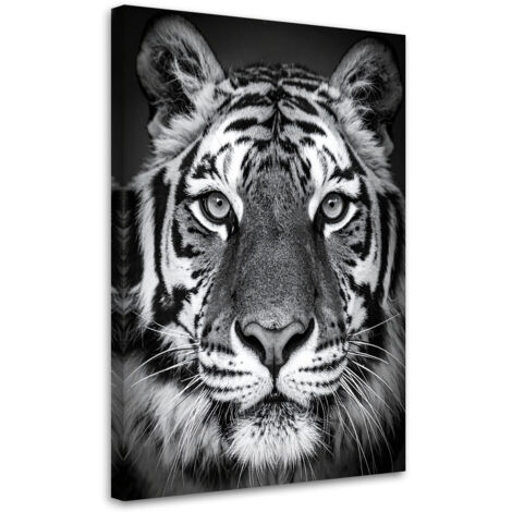 Impresión de Imagen, Tigre africano blanco y negro, 30x45
