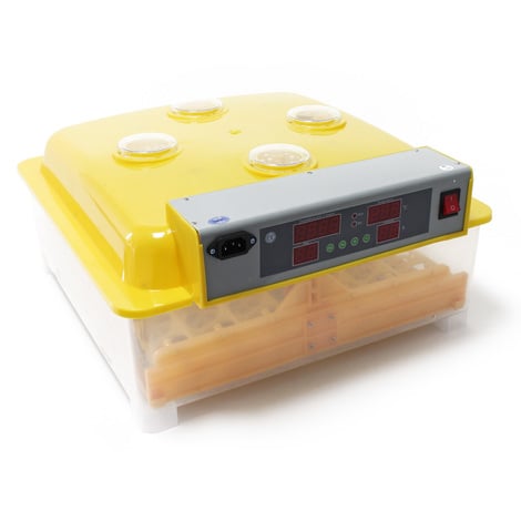 Incubadora automática 56 huevos control temperatura Incubación Criadero