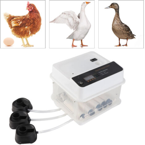 Incubadora automática con iluminación LED y doble fuente de alimentación – para incubadoras de pollos – Blanca, plástico, 22 cm – UE 220 V – 10 unidades
