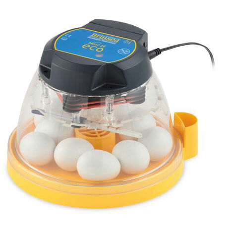 Incubadora Brinsea Mini II Eco pequeña para incubar 10 Huevos de gallina o 24 de codorniz - También Funciona como nacedora magnífico Rendimiento