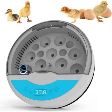 Incubadora termostática automática ZVD de 9 huevos con pantalla digital LED.