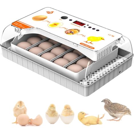 Incubateur 20 pièces, affichage de la température, contrôle automatique de la température et retournement des œufs, pour l'éclosion des poules
