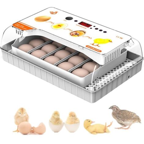 Incubateur 20 pièces, affichage de la température, contrôle automatique de la température et retournement des œufs, pour l'éclosion des poules