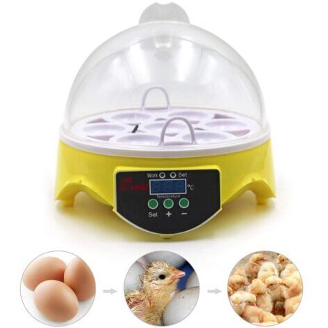 Incubateur 7 œufs, incubateur à œufs de poule, incubateur à poussins, contrôle automatique de la température et affichage numérique de la température par LED.