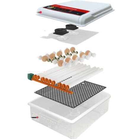 Incubateur automatique 16 œufs – Rotation toutes les 90 minutes – Double alimentation 220 V/12 V – Convient aux poulets et autres volailles