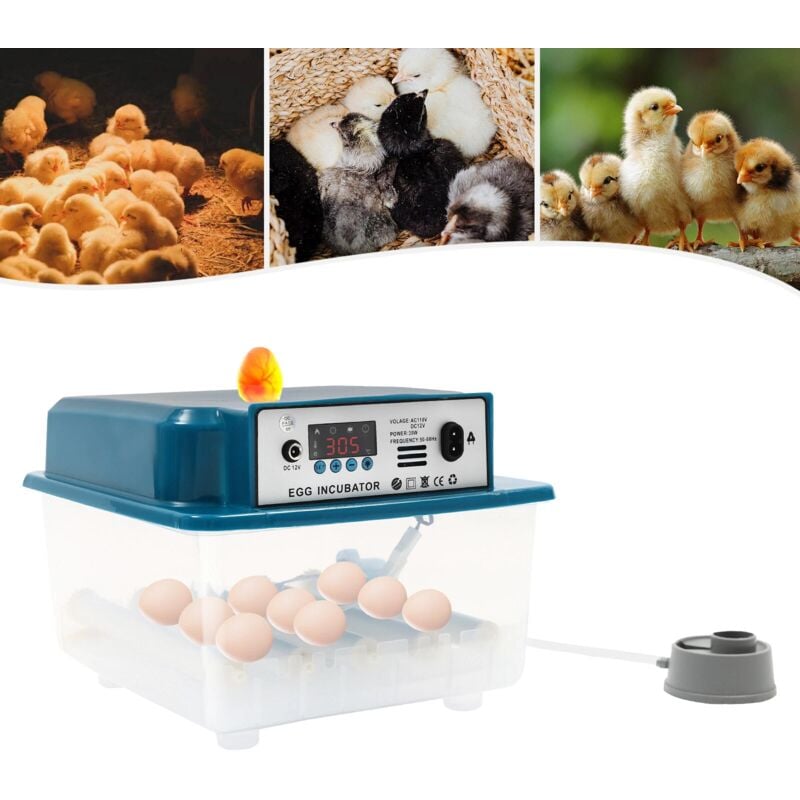 Gojoy - Incubateur automatique 30 w - 16 œufs - Incubateur automatique - Contrôleur Home - 10 ℃-38 ℃ rt