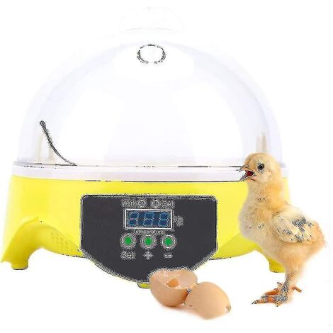 Incubateur automatique numérique pour 7 œufs avec retournement automatique.