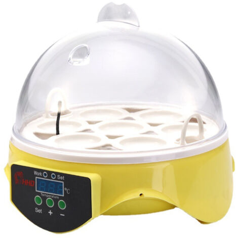 Incubateur automatique pour œufs de volaille, capacité 7 œufs, régulation de température, idéal pour l'éclosion et décoration de Pâques.