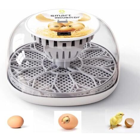 Incubateur automatique pour plusieurs œufs avec fonction de retournement, taux d'éclosion élevé, contrôle numérique de la température et vue à 360 degrés des poulets, canards, oies et oiseaux.