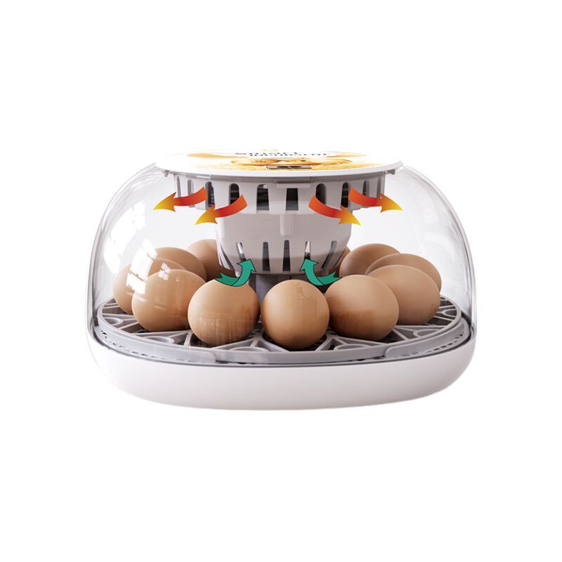 Incubateur d'œufs pour poussins à couver, incubateurs d'œufs avec rotation et arrêt automatiques, bougie d'œufs, jours d'éclosion, humidité,