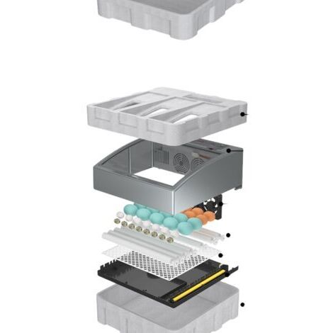 Incubateur entièrement automatique de 16 œufs – affichage numérique avec fonction de retournement automatique des œufs – plage de température réglable de 0,1 à 49,9 °C – convient aux volailles, caille