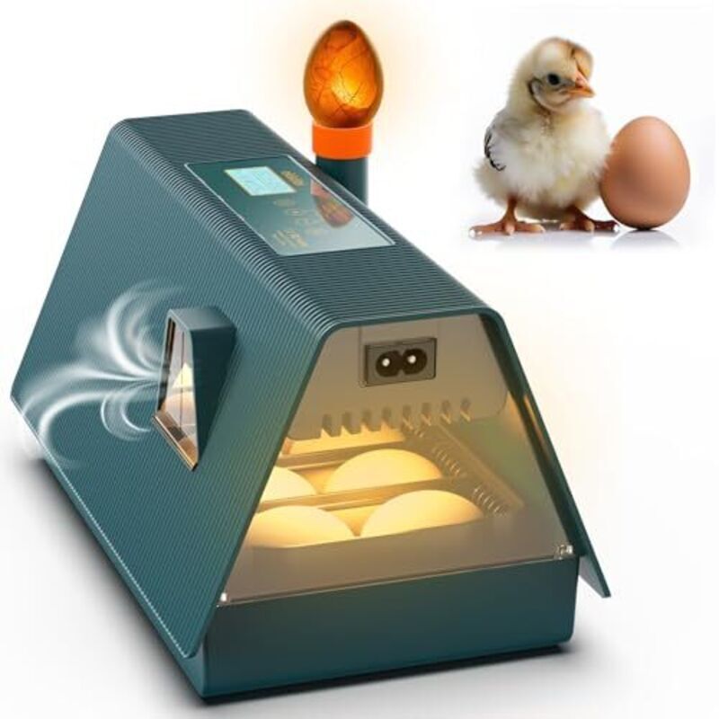 Incubateur entièrement automatique - Idéal pour tous les âges - Incubateur pour poulets avec retournement des œufs et contrôle de l'humidité - Lampe