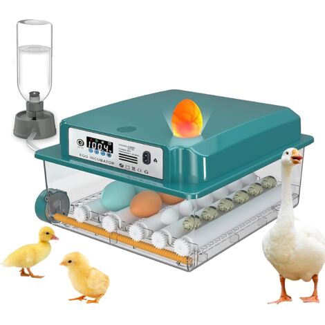 Incubateur entièrement automatique pour 16 œufs, avec retournement automatique des œufs et humidification automatique, contrôle de la température, indicateur d'humidité pour œufs de poule,