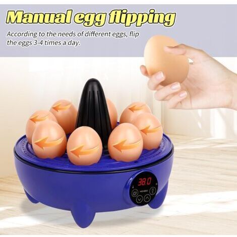 Incubateur, incubateur pour volailles 8 œufs avec contrôle de l'humidité et de la température, mini incubateur automatique adapté aux poussins, cailles, canards, oies, oiseaux et dindes.