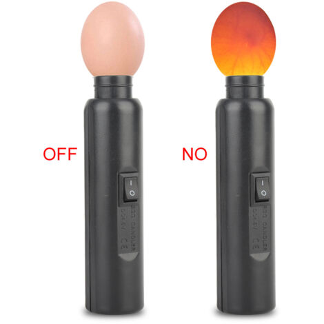 Incubateur miniature automatique à éclairage LED pour expériences (exclusif)