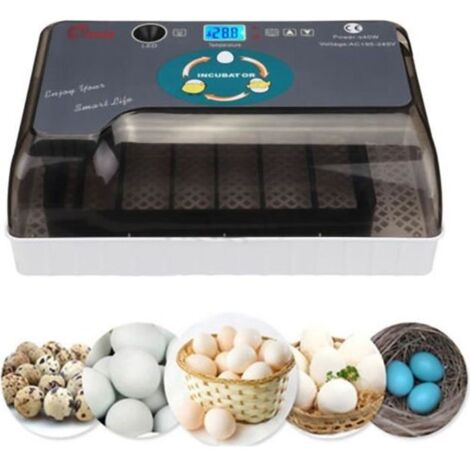 Incubateur Oeufs 12 Oeufs - Mini couveuse a Oeuf Automatique pour volaille, caille, oie Canard, Pigeon, Reptile - Température consta