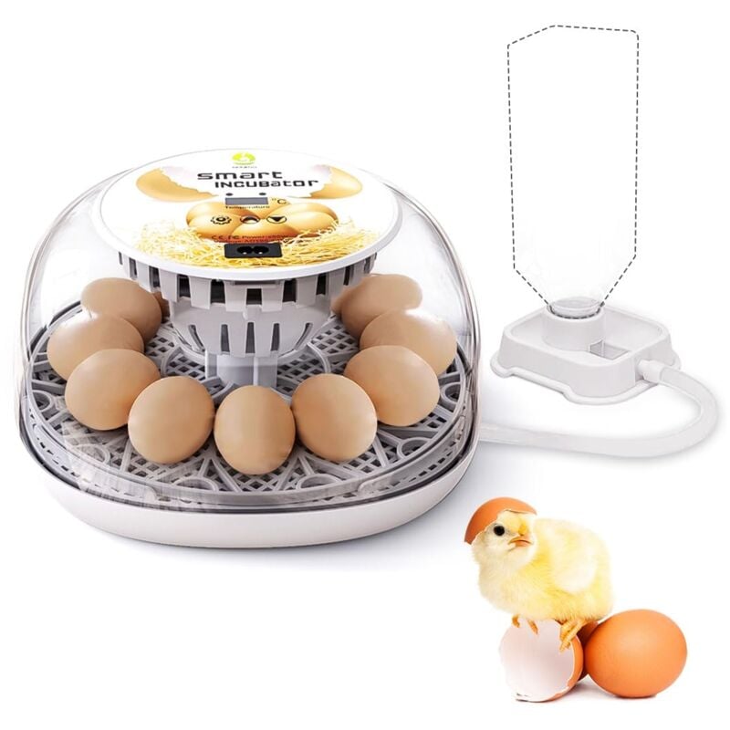 Incubateur Oeufs Couveuses Automatique 12 œufs Retournement Automatique, Contrôle De La Température Réglable avec LED Lumière D'oeuf Intégré pour