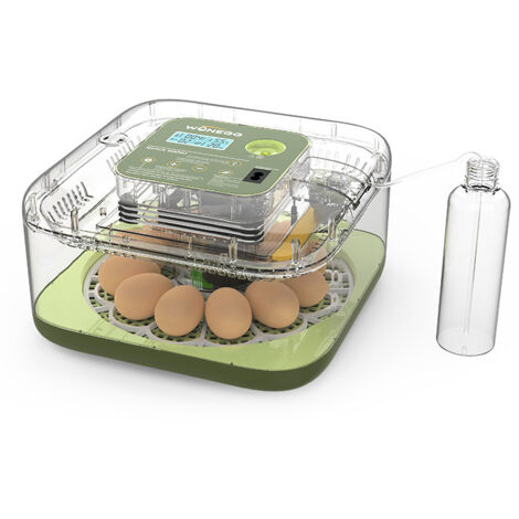 Incubateur pour 12 œufs, entièrement automatique, numérique, avec contrôle de la température et retournement automatique, pour poules, canards, oies, cailles