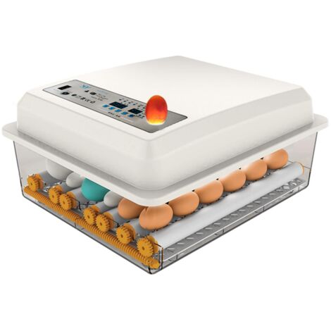 Incubateur pour 36 œufs, avec retournement automatique et contrôle de l’humidité, adapté à l’incubation d’œufs de volailles comme poules, canards, oies, pigeons, cailles, perroquets, etc