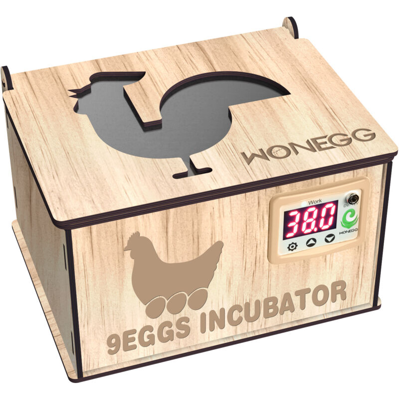 Incubateurs pour œufs à couver, incubateur d'œufs avec incubation sur lit d'eau et température réglable, mini couveuse d'œufs pour poulet, canard,