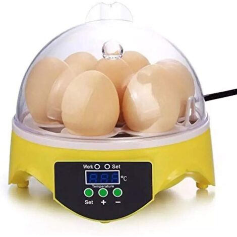 Incubatrice per 7 uova con visibilità a 360° per polli, anatre, oche, pappagalli e quaglie, con controllo della temperatura