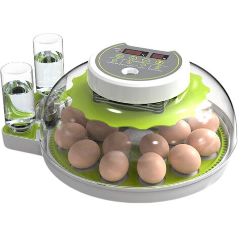 Incubatrice per uova con display dell'umidità, candela per uova, girauova automatico, per polli da cova