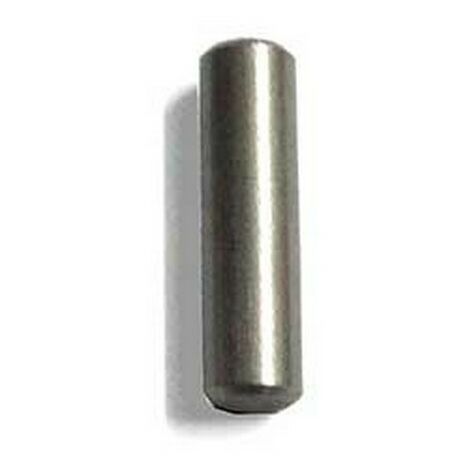 Indelb Goupille de Porte - Pièce de rechange pour charnière de porte de réfrigérateur portable