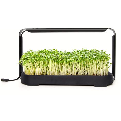Indoor Hydroponics Growing System with LED Light for Microgreens, Seed & Herb Germination