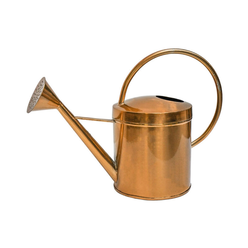 Ivyline - Indoor Kensington Traditional Copper Watering Can - Metal - L40 x W40 x H25 cm - Copper