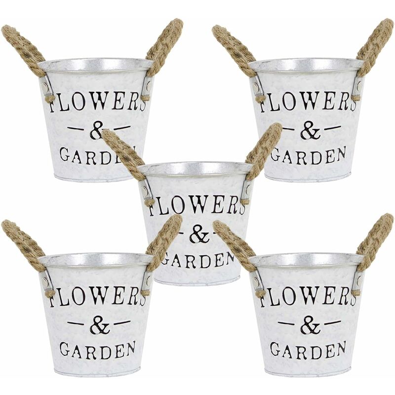 Ineasicer - Lot de 5 pots de fleurs en métal de style simple avec poignées décoratives, vase décoratif rustique, seau en métal, pot de fleurs, pot