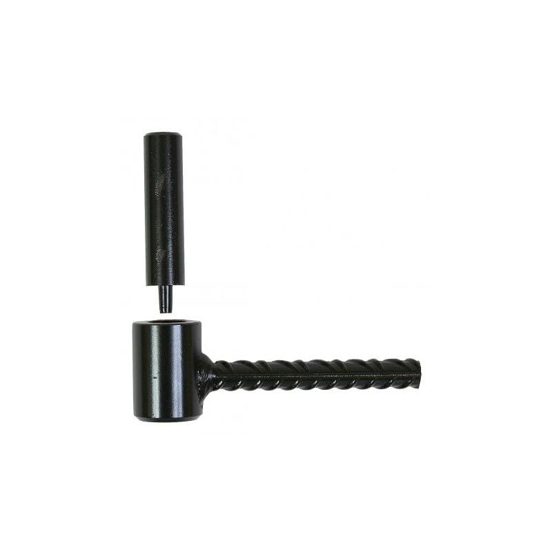 Ing Fixations - Gond pour scellement chimique A8562 pour volet parpaing noir - Diamètre de l'axe : 16 mm - Longueur de la tige : 80 mm - Finition :