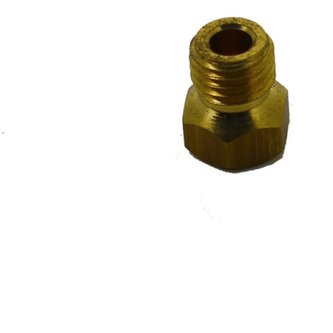 INJECTEUR 0.50 LPG AUX VERSION 0 9024435 pour Plaque de cuisson ESSENTIEL B, LISTO TABLE GAZ ESSENTIELB ETGV 44N, TABLE GAZ LISTO TG L3B BLANCHE, TABLE GAZ LISTO TG L3I INOX, TABLE GAZ LISTO TG L4B,