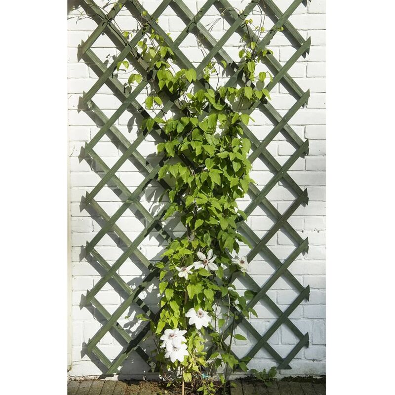 nature trellis de jardin 50 x 150 cm bois vert - inlife