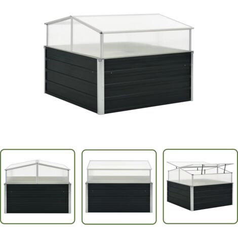 INLIFE Serre Anthracite 100x100x77 cm Acier galvanisé