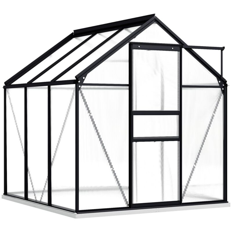 Serre avec cadre de base Anthracite Aluminium 3,61 m² - Inlife
